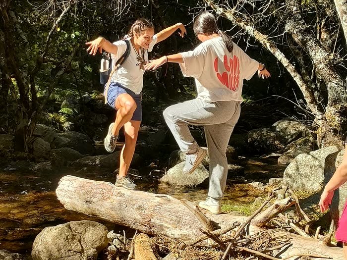 Dos personas cruzando un tronco en el bosque