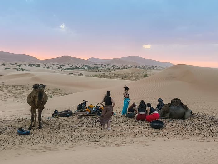 El campamento en las dunas con los camellos al atardecer