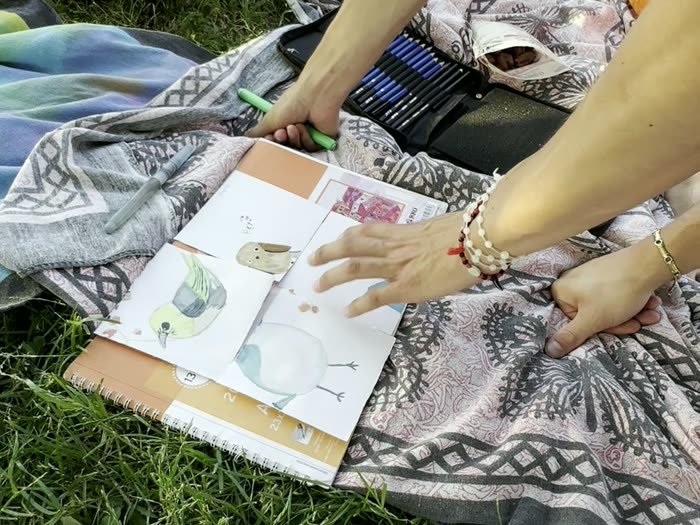 Cuadernos abiertos sobre la manta en la hierba