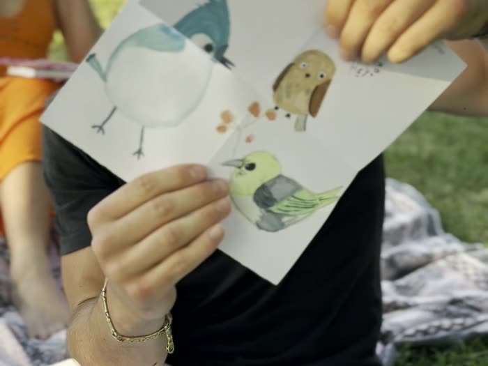 Un dibujo de pájaros enseñado a cámara