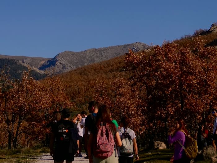 El grupo caminando entre robles de otoño